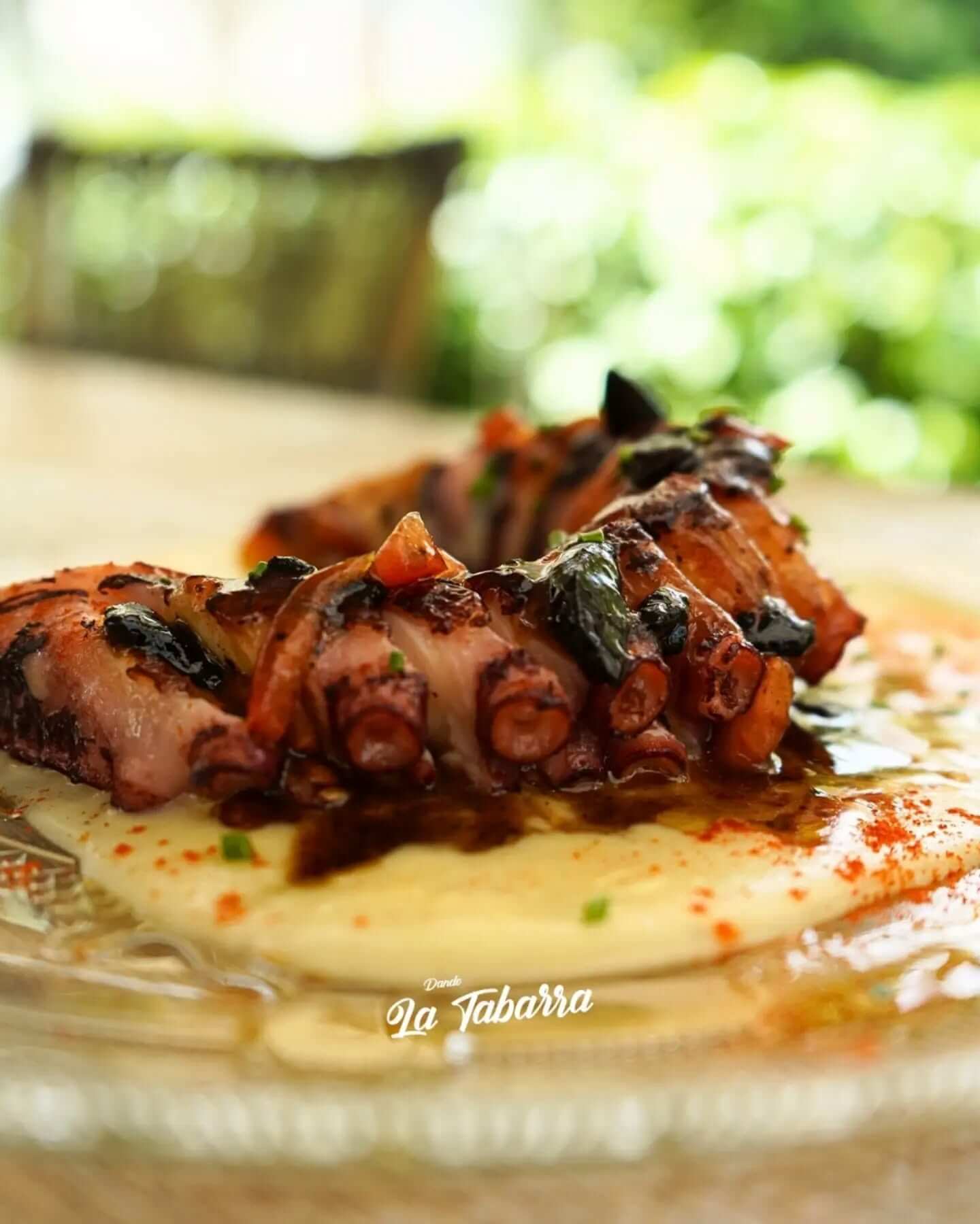 Pulpo